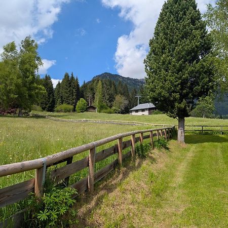 Apartmán Nido Del Brenta Madonna Exteriér fotografie