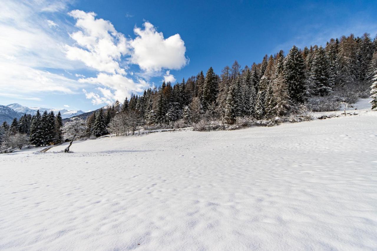 Apartmán Nido Del Brenta Madonna Exteriér fotografie